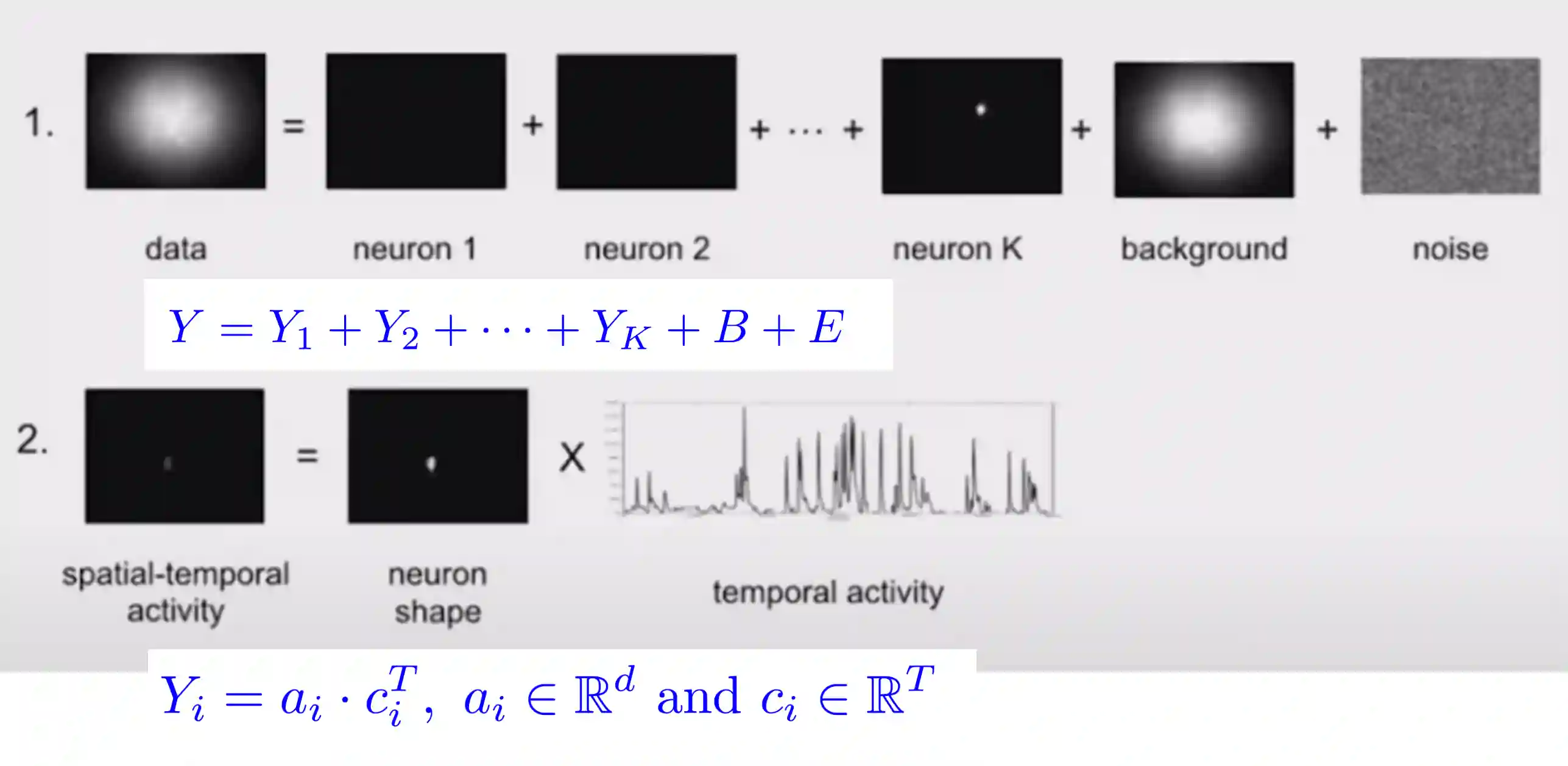 Neural Imaging-20250805213801819